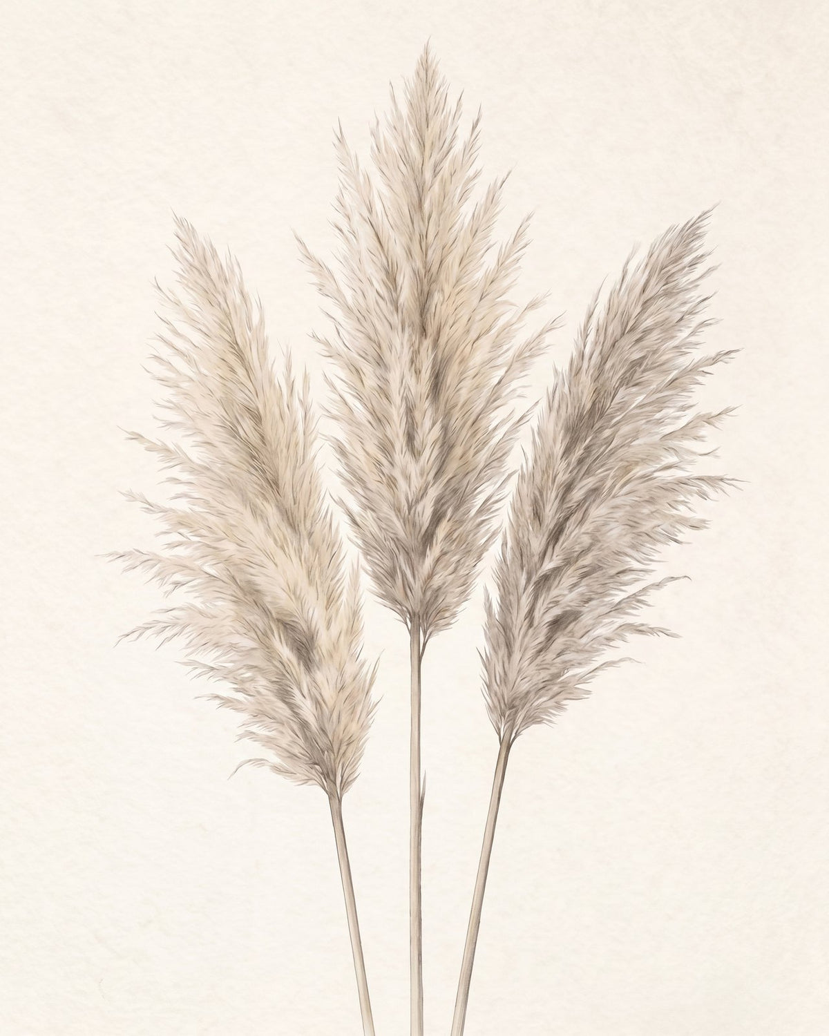 Pampas — the artwork