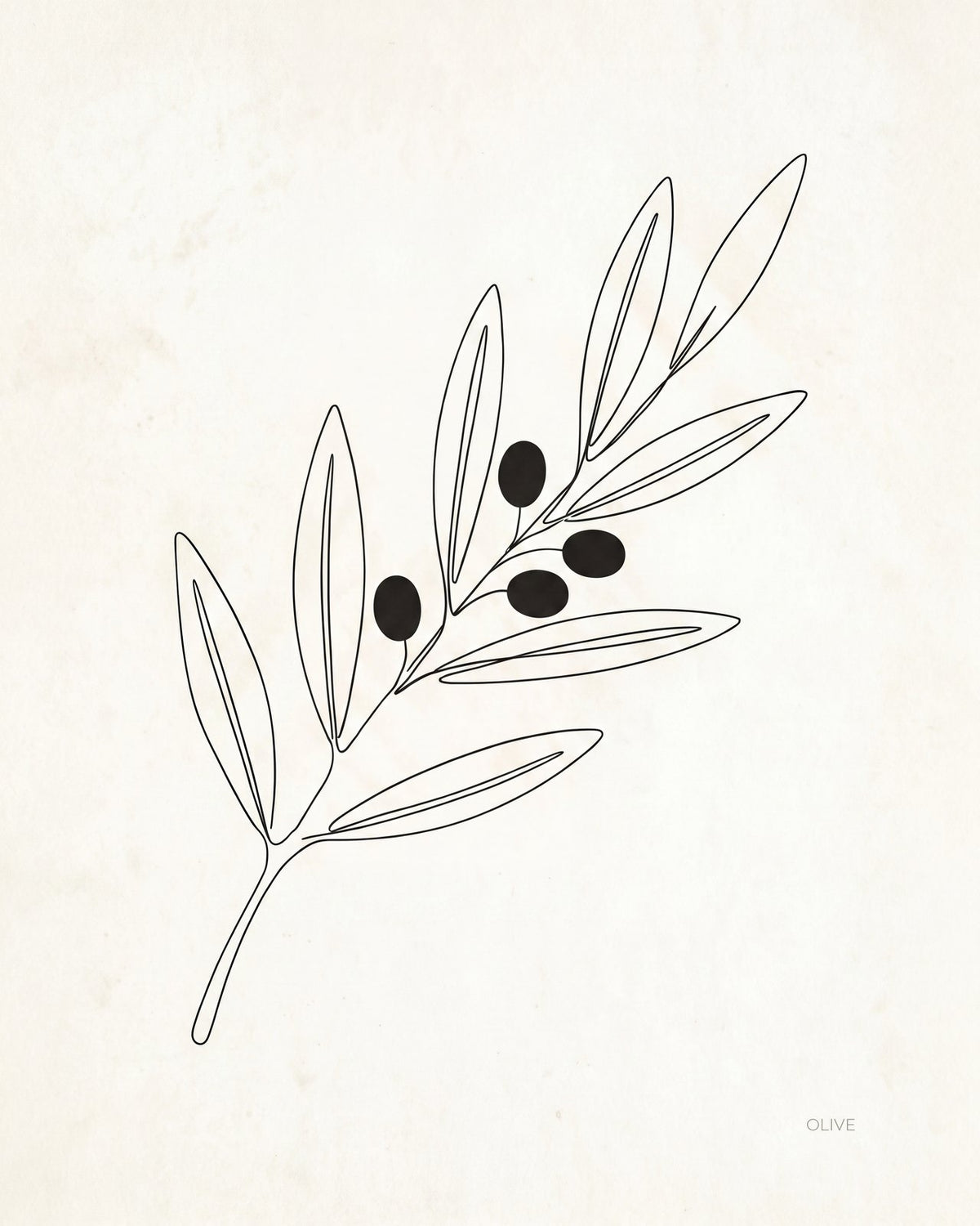Olive Branch — the artwork
