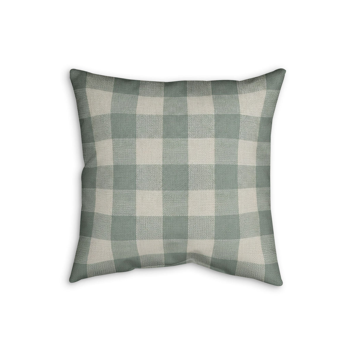 Organic Check Cushion
