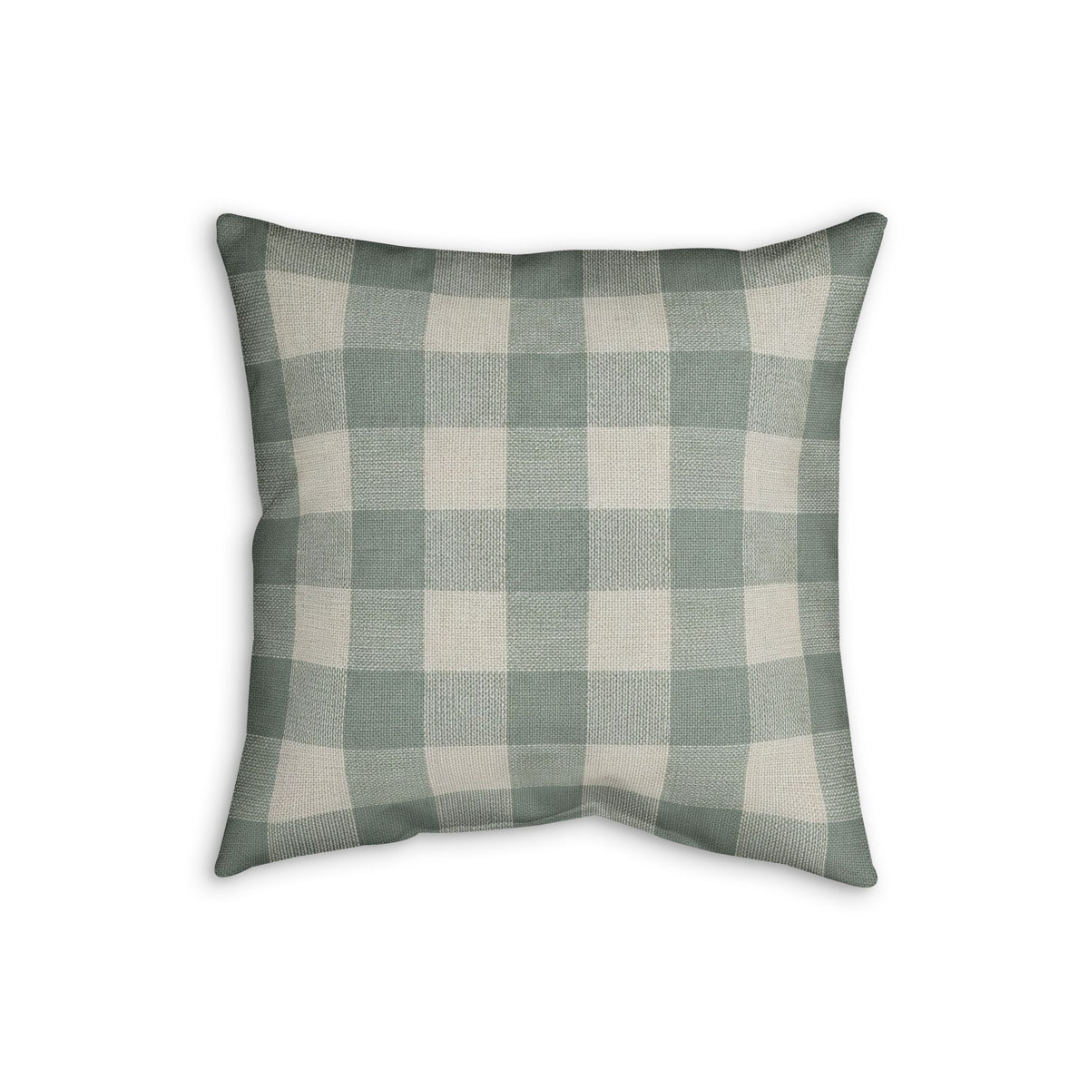 Organic Check Cushion