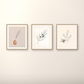 Botanical Soft Japandi gallery wall set of three