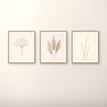 Botanical Wild Japandi gallery wall set of three